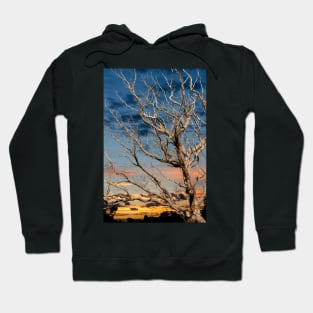 Winter Sunset Hoodie